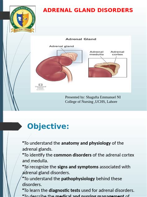 adrenal disorders  boys puberty  adrenal gland cortisol