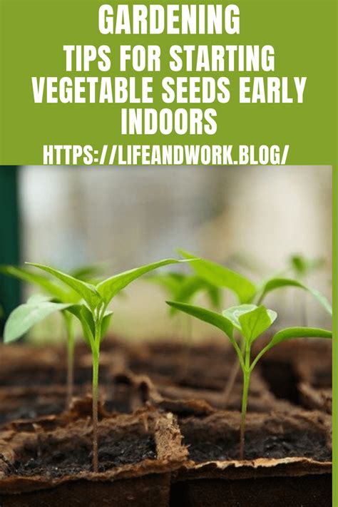 Gardening Tips For Starting Vegetable Seeds Early Indoors