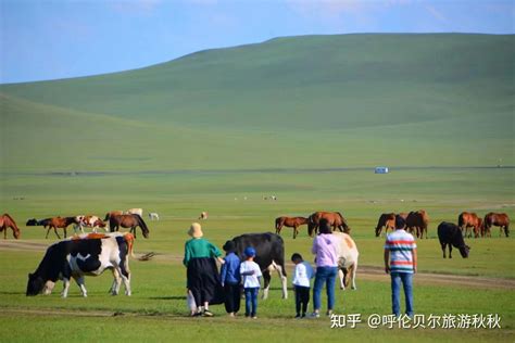 呼伦贝尔亲子游、暑期研学季、蒙古民俗亲子游 知乎