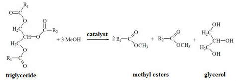 Transesterification Reaction Of Triglyceride Download Scientific Diagram