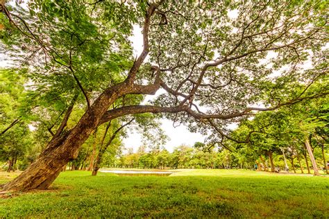 Delhi To Get 7th Biodiversity Park | So Delhi