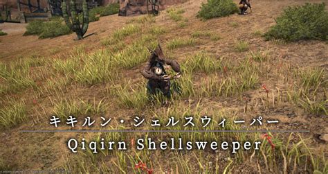 Ff Qiqirn Shellsweeper Location