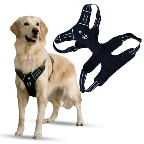 Puppy Dog Safety Harness at Best Price in New Delhi | Scoobee Pet Food