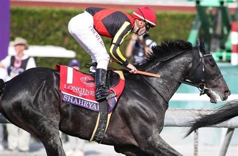 シャフリヤールは今秋もbcターフへ 昨年3着の雪辱へ札幌記念から参戦 Jra Van World 海外競馬情報サイト