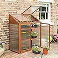 Rowlinson Hardwood Mini Greenhouse Amazon Co Uk Garden