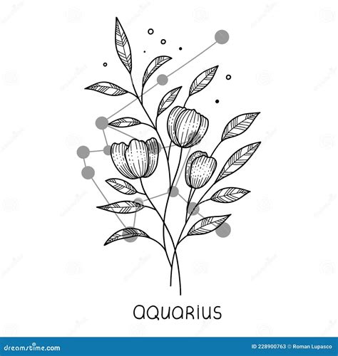 Aquarius Horoscope Flower Icon Outline Vector Zodiac Sign Astrology