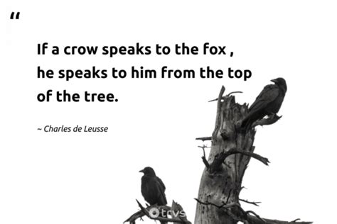 40 Crow Quotes & Sayings About The Misunderstood Birds (2024)