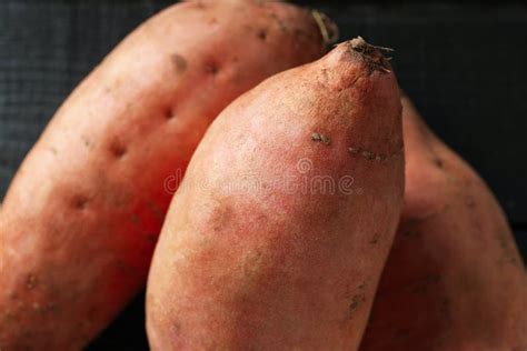 Concept Of Vegetables Tasty Sweet Potato Batat Stock Photo Image Of