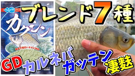 新発売のヘラ餌「カクシン」をブレンド7種類試してみた！浅ダナ両ダンゴで Youtube