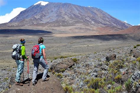 Moshi Excursion d une journée au Mont Kilimandjaro sur la route