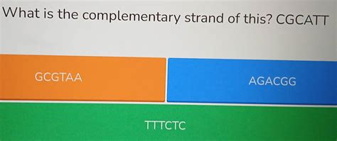 Solved What Is The Complementary Strand Of This Cgcatt Gcgtaa Agacgg