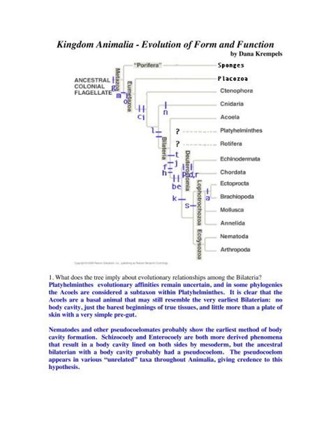 Kingdom Animalia - Evolution of Form and Function