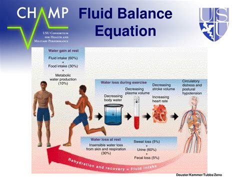 Ppt Fluid Replacement Powerpoint Presentation Free Download Id 6520820