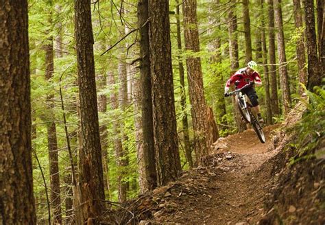 Sandy Ridge Trails in Oregon | Mountain biking, Mountain bike trails ...