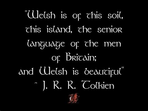 Funny Quotes About Wales - ShortQuotes.cc