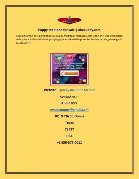 PPT - Puppy Maltipoo for Sale PowerPoint Presentation, free download ...