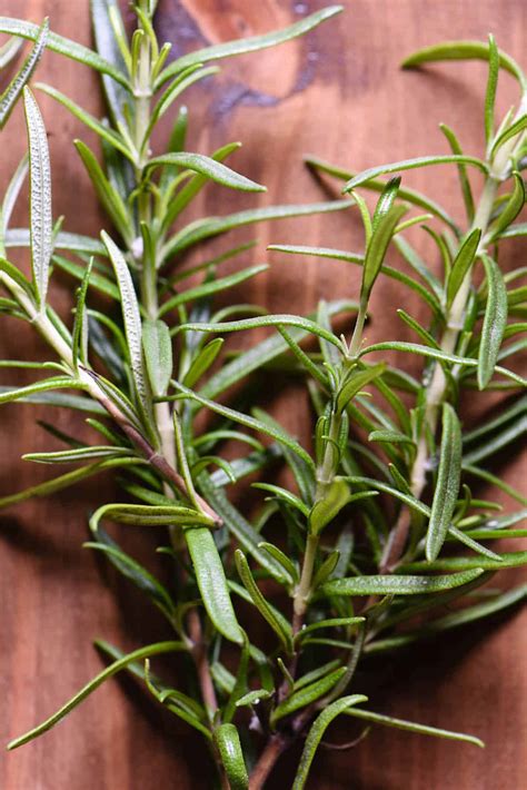 Rosemary Gin Cocktail - Foxes Love Lemons