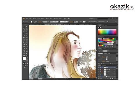 Kurs Online Adobe Illustrator Cs Dla Zaawansowanych I