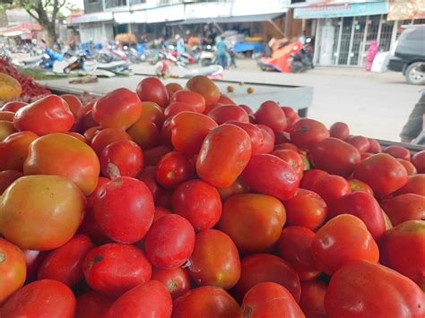 Harga Cabai Dan Tomat Di Kota Banda Aceh Melonjak Naik