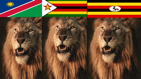 Top Countries By Lion Population Most Lion Population Countries