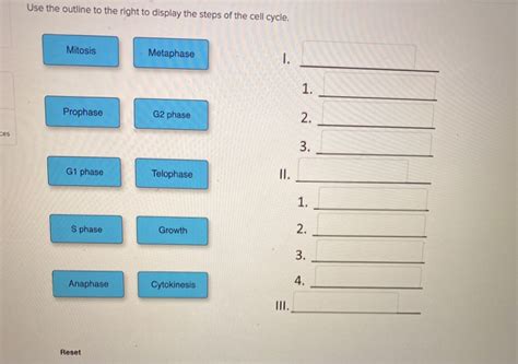 Solved He Place Each Of The Terms In The Proper Category To