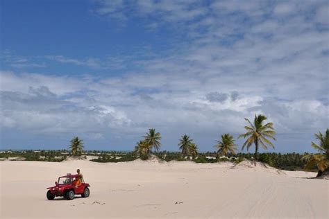 Excursión a Mangue Seco desde Salvador de Bahía Civitatis