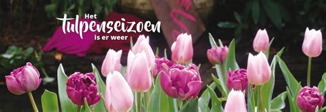 Tuincentrum Te Rijswijk Bezoek GroenRijk