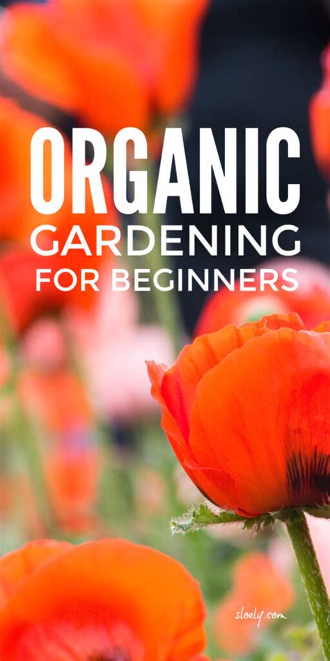 Organic Gardening Tips For Beginners