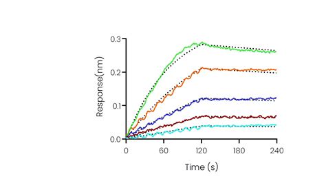 Recombinant Human Ctla Protein Hnah Sino Biological