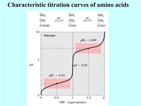 Titration Curves For Amino Acids