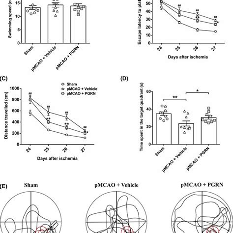 Progranulin Pgrn Administration Alleviates Cerebral Ischemia‐induced