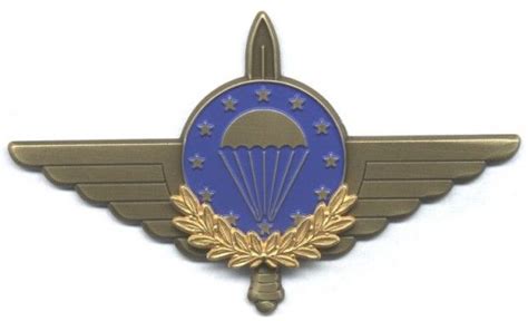 European Paratrooper Parachute Jump Wings Paratrooper Commando