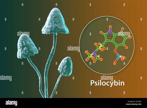 Magic Mushrooms And Psilocybin Molecule Illustration Stock Photo Alamy