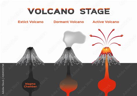 Volcano Stage Infographic Extinct Dormant And Active Volcano Vector