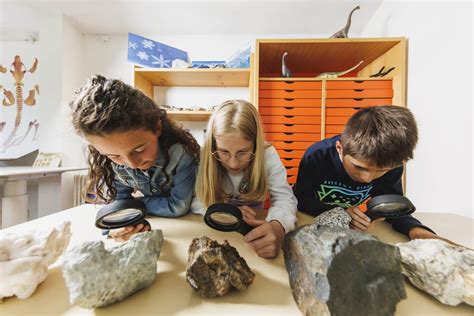 Vacanze Super Dolomitiche Muse Museo Delle Scienze Di Trento