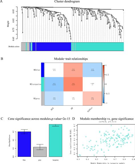 Analysis of modules correlated with the subtypes of DLBCL. (A)... | Download Scientific Diagram