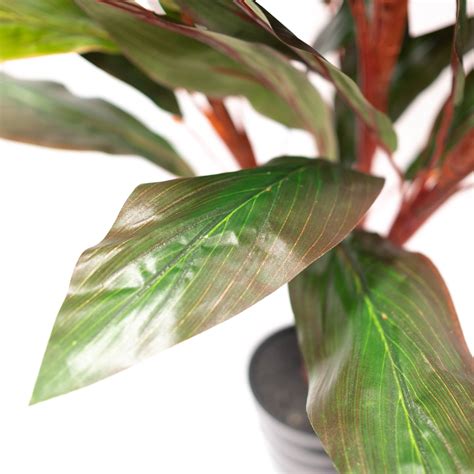 Cordyline Plant – Silk Plant Decor and More