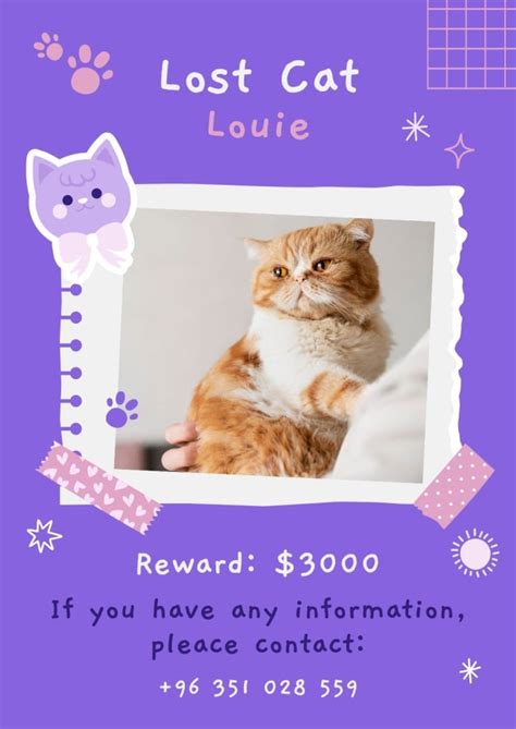 Lost Cat Poster Template