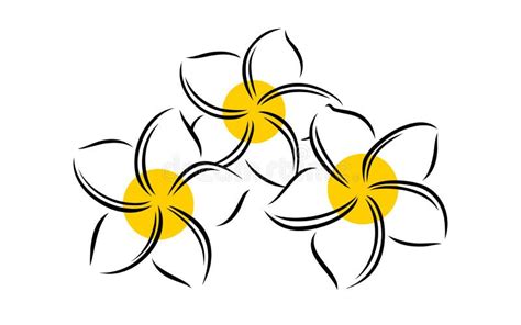 Frangipani Or Plumeria Exotic Summer Flower Engraved Frangipani