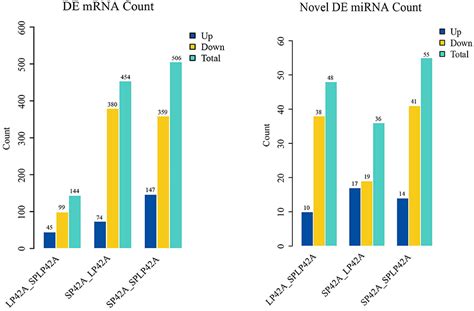 Frontiers Identification Of Photoperiod Induced Specific Mirnas In