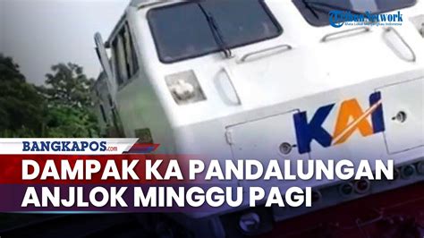 Imbas Ka Pandalungan Gambir Jember Anjlok Di Tanggulangin Ini Daftar