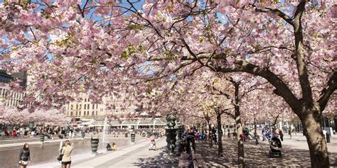 Op Vakantie Naar Stockholm Doets Reizen