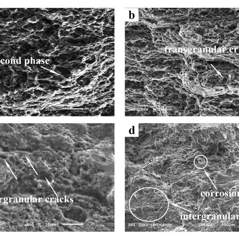 Sem Micrographs Of The Tensile Fracture Surface In The Upper Area Of