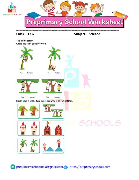 position top bottom kindergarten worksheet