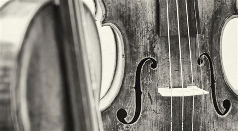 A Brief History Of The Viola