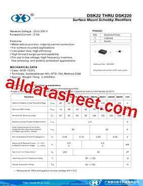 Dsk Datasheet Pdf Guangdong Juxing Electronics Technology Co Ltd