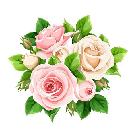 Rosas Del Rosa Y Blancas Aisladas En Blanco Ilustraci N Del Vector