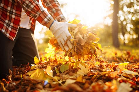 How To Give Your Apartment A Fall Refresh Amenify