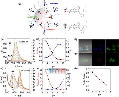 Perspective On Fluorescence Cell Imaging With Ionophore Based Ion