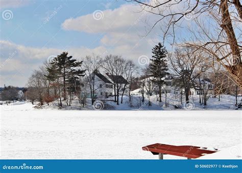 Winter snow Scene stock image. Image of photographs, park - 50602977